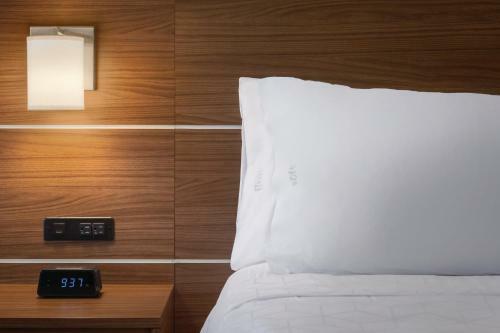 Holiday Inn Express Hotel & Suites Lavonia