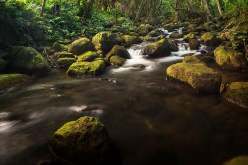 Apartamentos Hanalei Colony Resort