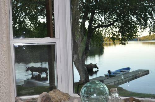 Daniels Lake Lodge B&B