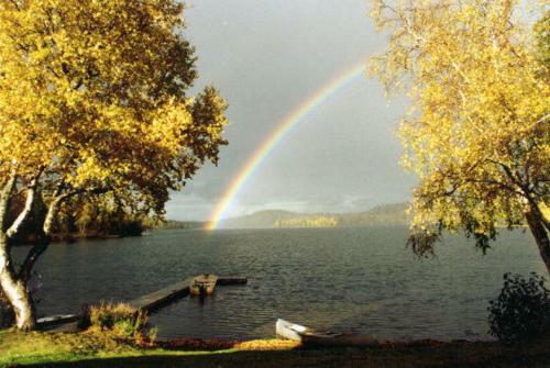 Daniels Lake Lodge Cabins