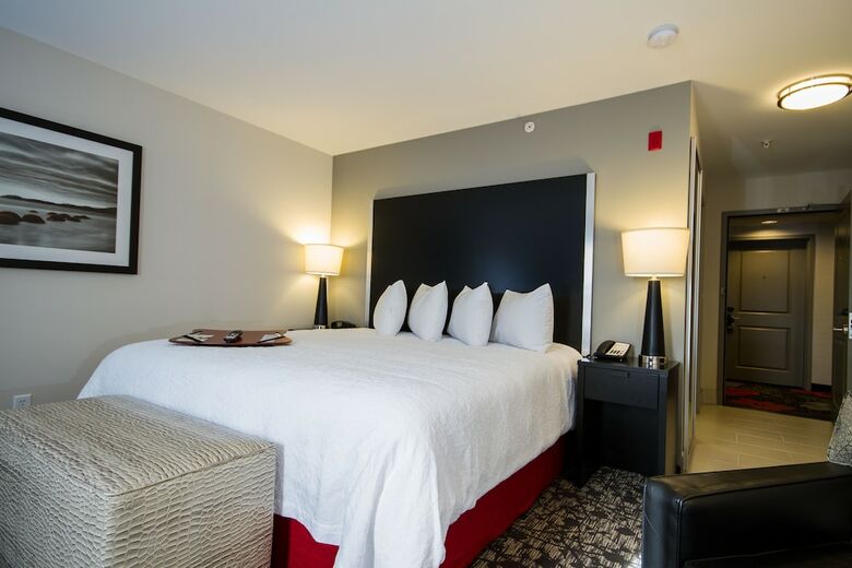 Hotel Hampton Inn & Suites Dupont
