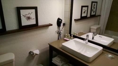 Hotel Country Inn & Suites Chippewa Falls