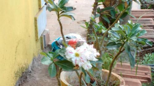 Hostal Aguiar Guest House