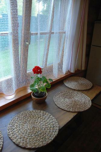 Agroturismo Wooden Guesthouse