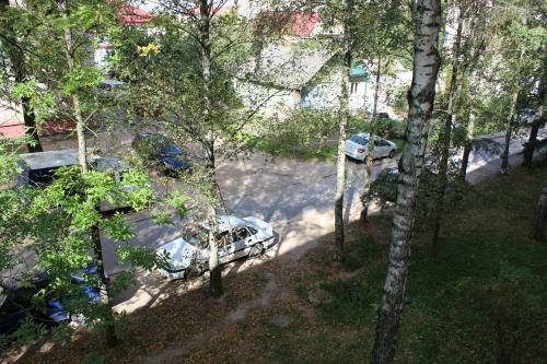 Apartment On Chernyakhovskogo 6/4