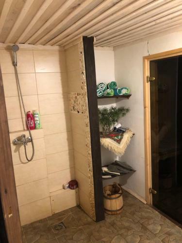 Domik Na Islochi