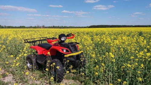 Agroturismo Vladimirskaya Usadba Brest