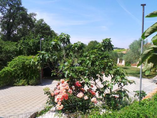 Holiday Home In Medulin/istrien 17301