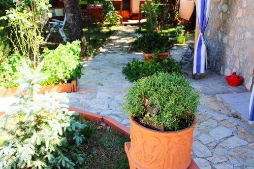 Apartman Mukalba