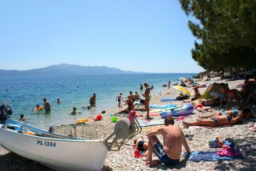 Apartments With A Parking Space Podaca (makarska) - 6798