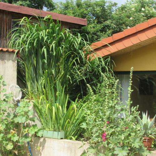 Apartamento Ferienwohnung "eifelstueffje"
