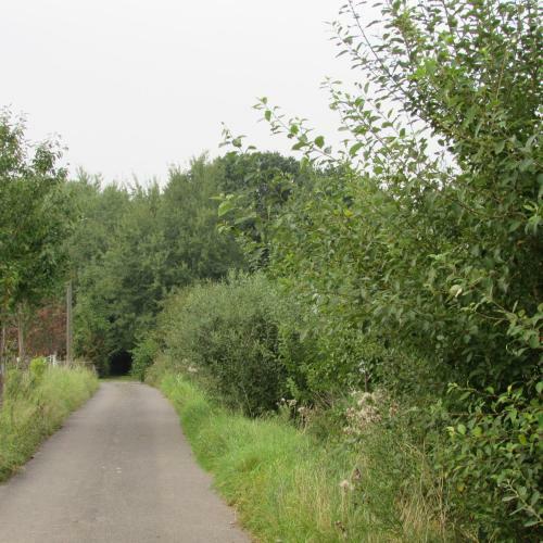 Apartamentos Ferienwohnungen Em Gardestueffje