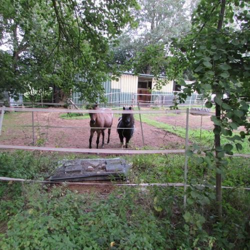 Apartamentos Ferienwohnungen Em Gardestueffje