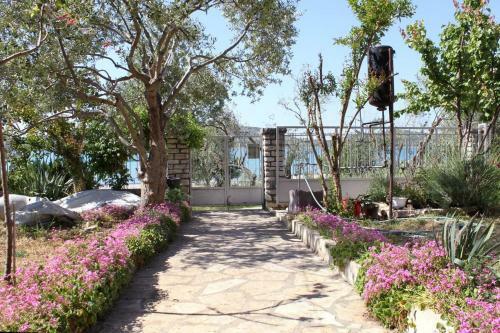 Apartment Pirovac 6447a