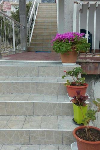 Apartments With A Parking Space Orebic (peljesac) - 13210