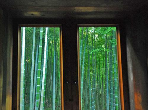 Prodigy Hostel Mogan Mountain