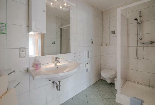Hostal Elbterrassen Zu Brambach