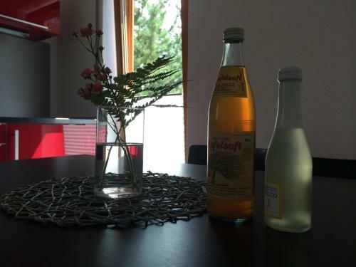 Apartamento Ferienwohnung Bl�tenweg Kluftern