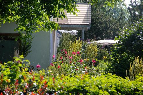 Apartamento Ferienwohnung Bl�tenweg Kluftern