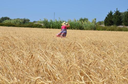 Agroturismo Masseria Vignenove