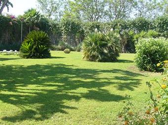 Apartamento Cuore Di Palme