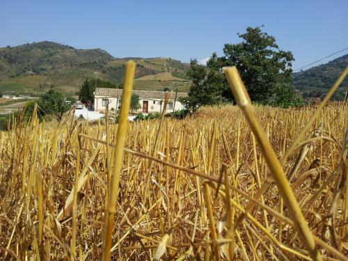 Bed & Breakfast La Suite Di Segesta