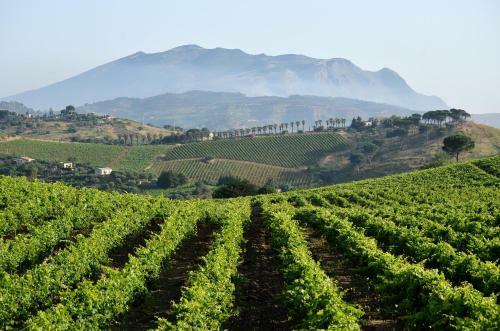 Agroturismo Agriturismo Antichi Granai