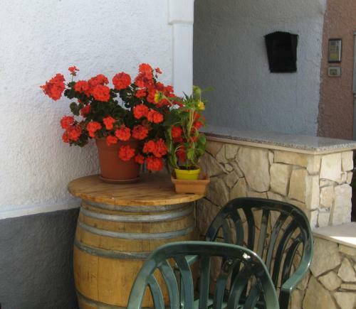 Hotel Albergo Bellaria