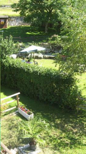 Hotel Albergo Bellaria