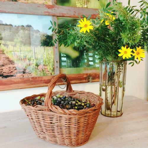 Agroturismo All'ombra Del Tiglio
