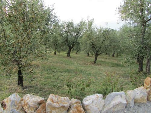 Agroturismo Agriturismo Borghetto Il Montino