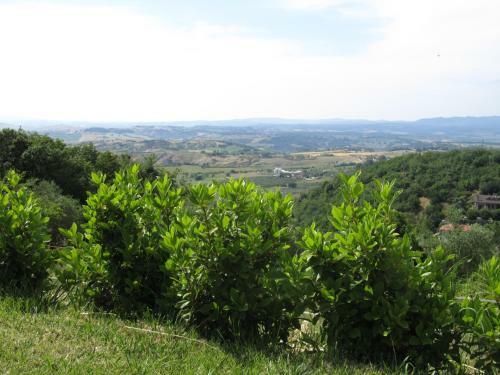Agroturismo Agriturismo Borghetto Il Montino