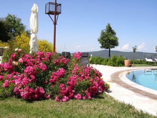 Agroturismo Agriturismo Borghetto Il Montino