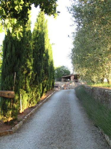Agroturismo Agriturismo Borghetto Il Montino