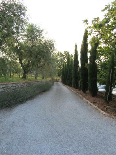 Agroturismo Agriturismo Borghetto Il Montino