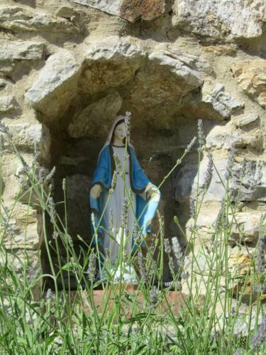 Agroturismo Agriturismo Borghetto Il Montino