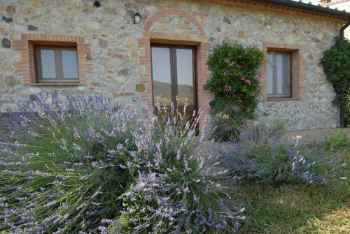 Agroturismo Fattoria Di Statiano