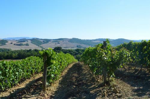 Agroturismo Fattoria Di Statiano