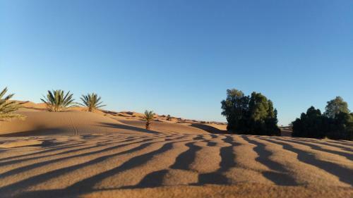 Nomadic Luxury Camp