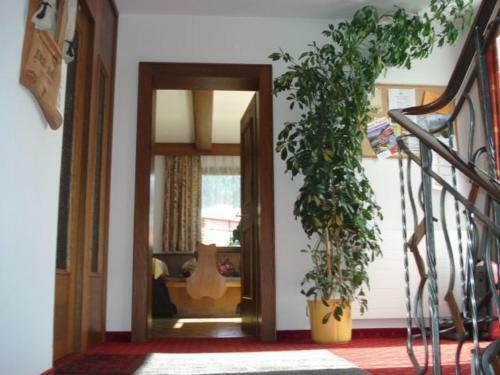 Bed & Breakfast G�stehaus Sillaber-gertraud Nuck