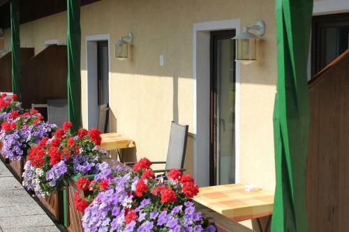 Hostal G�stehaus Regenbogen