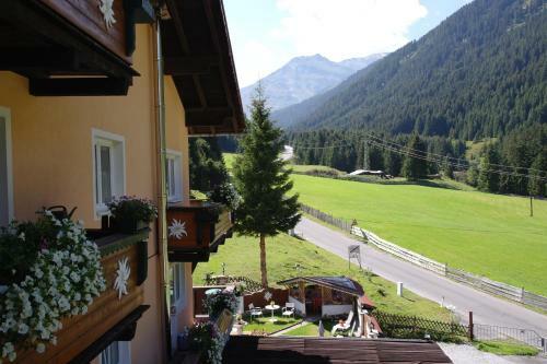 Apartment Fernerkogel
