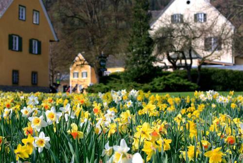 Golf Hotel Murhof