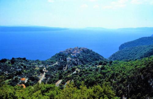 Hostal Pansion Tramontana