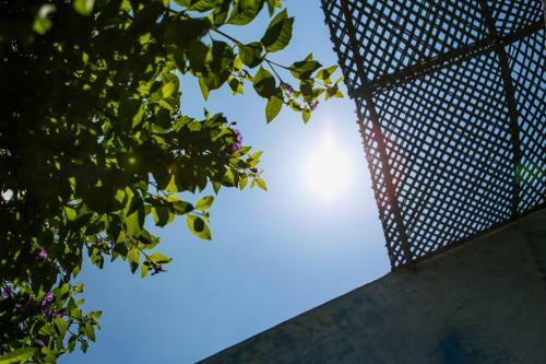 Riad Le Jardin Des Biehn