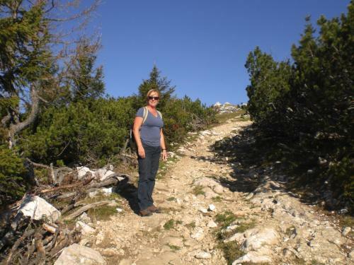 Hostal Gasthof Pension Lamprecht