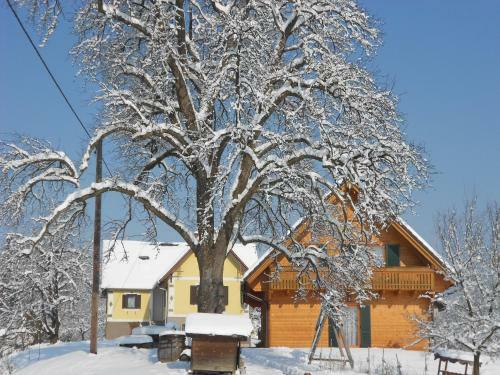 Bed & Breakfast Fr�hst�ckspension Liebmann
