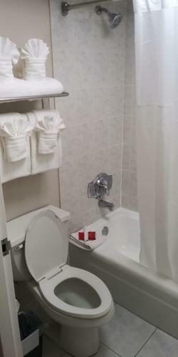 Surestay Plus Hotel By Best Western Clearwater Central