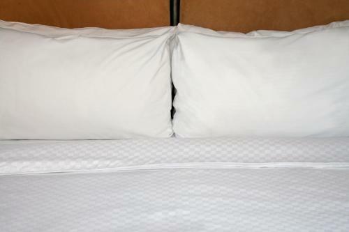 Hotel Four Points By Sheraton Philadelphia Airport