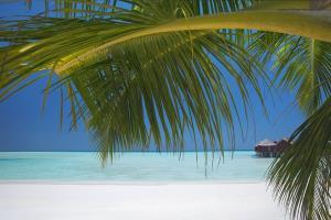 Hotel Anantara Dhigu Resort & Spa